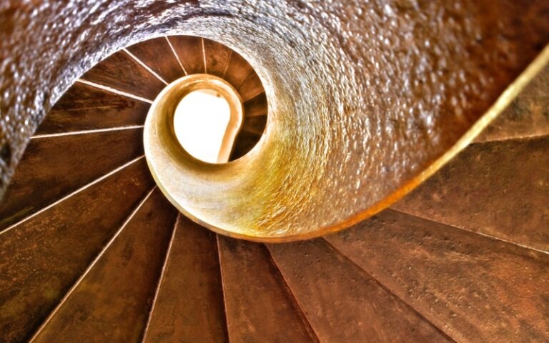 The Golden Ratio: A Complete Guide to Nature’s Most Perfect Number