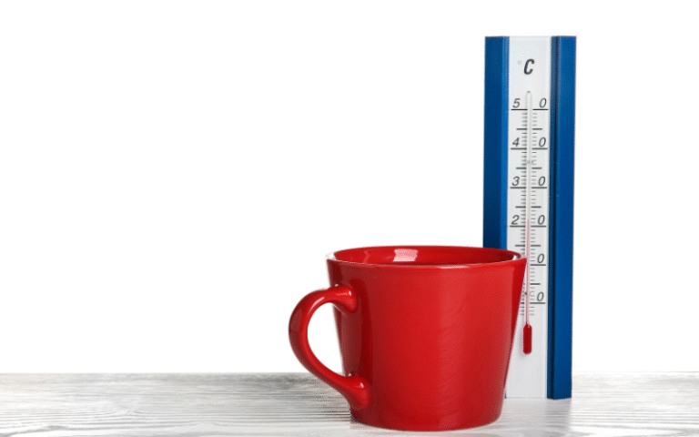 Complete Guide to Solo Cup Measurements: Sizes, Uses, and Everything You Need to Know